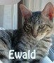 WhatsApp Image 2026-10-06 at 21.48.11